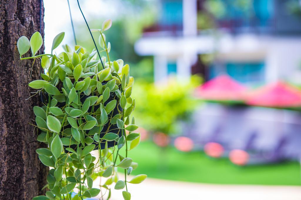 Crystal Wild Resort Panwa Phuket Экстерьер фото